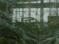 Exotic Stone Appreciation --Vivid Green Series