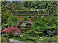 Exotic Traditional Garden