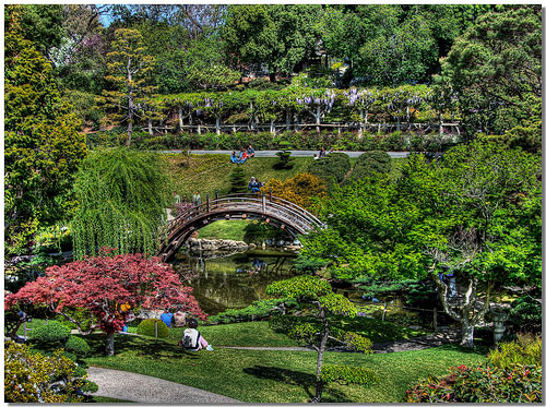 Exotic bridge of Traditional  Japanese Garden Design