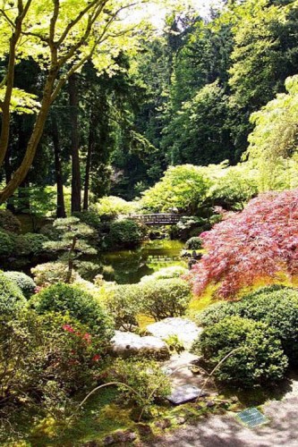 Exotic Traditional  Japanese Garden Design Ideas