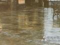Ambleside - Lake District,Natural Stone Flooring