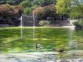 Chronicles in Stone, Pershing Park in Washing D.C