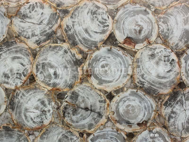 Brown Petrified Wood