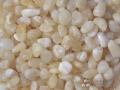 White Onyx Application, the Wonderful Corns.
