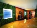 Telesthesia Application, the Design of the Hotel's Interior Wall