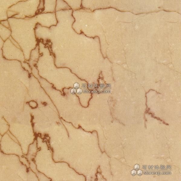 Dragon Beige